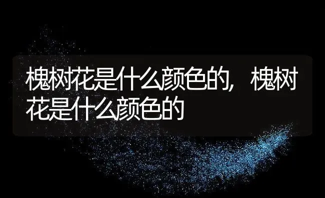 槐树花是什么颜色的,槐树花是什么颜色的 | 养殖科普