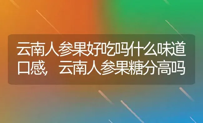 云南人参果好吃吗什么味道口感,云南人参果糖分高吗 | 养殖学堂