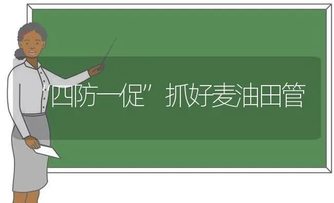 “四防一促”抓好麦油田管 | 养殖知识