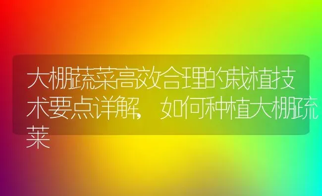 大棚蔬菜高效合理的栽植技术要点详解,如何种植大棚疏莱 | 养殖学堂