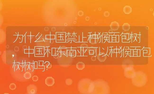 为什么中国禁止种猴面包树,中国和东南亚可以种猴面包树树吗？ | 养殖学堂