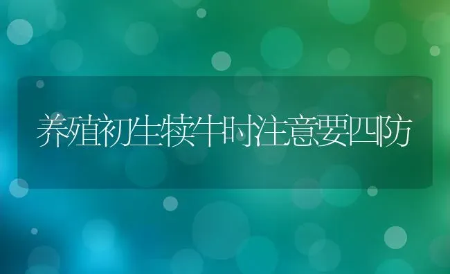 养殖初生犊牛时注意要四防 | 养殖知识