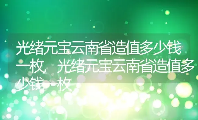 光绪元宝云南省造值多少钱一枚,光绪元宝云南省造值多少钱一枚 | 养殖科普