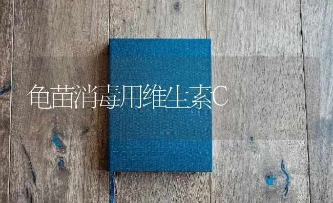 龟苗消毒用维生素C | 养殖知识