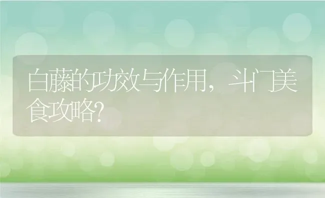 白藤的功效与作用,斗门美食攻略？ | 养殖科普