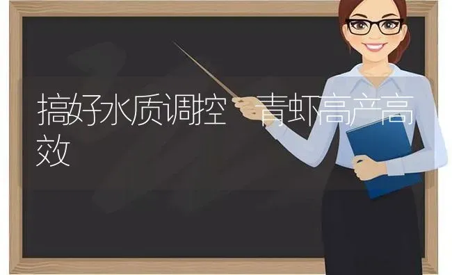 搞好水质调控 青虾高产高效 | 养殖知识