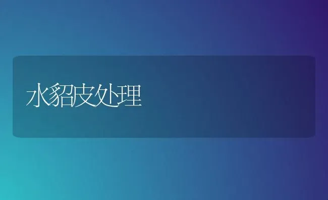 水貂皮处理 | 养殖技术大全