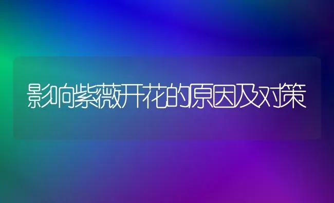 影响紫薇开花的原因及对策 | 养殖知识