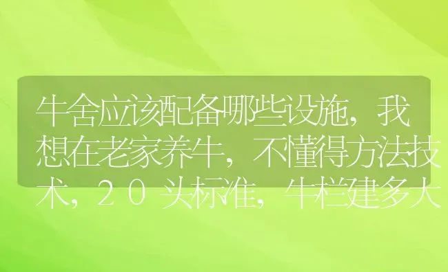 牛舍应该配备哪些设施,我想在老家养牛，不懂得方法技术，20头标准，牛栏建多大的 | 养殖学堂