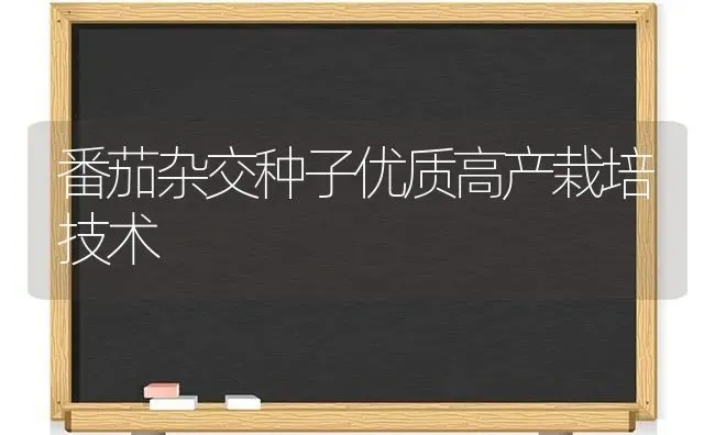 番茄杂交种子优质高产栽培技术 | 养殖知识