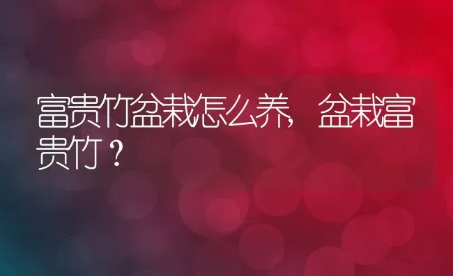 富贵竹盆栽怎么养,盆栽富贵竹？ | 养殖学堂