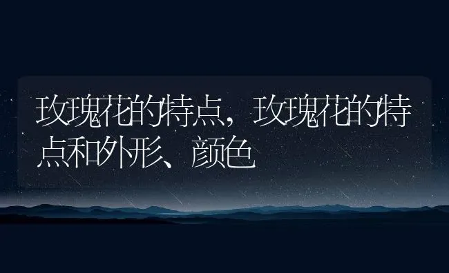 玫瑰花的特点,玫瑰花的特点和外形、颜色 | 养殖资料