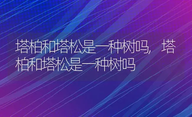 塔柏和塔松是一种树吗,塔柏和塔松是一种树吗 | 养殖科普