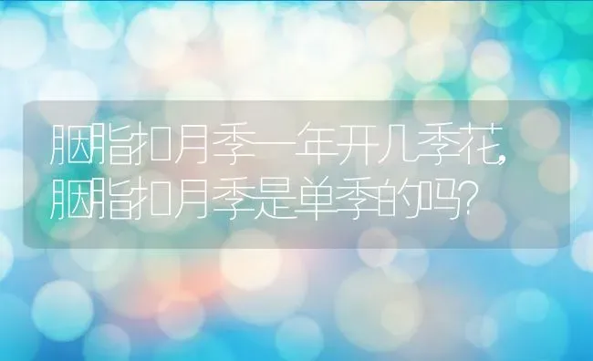 胭脂扣月季一年开几季花,胭脂扣月季是单季的吗？ | 养殖科普