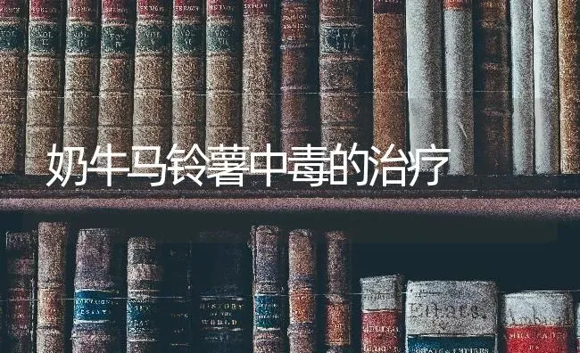 冬季树种怎样贮藏 | 养殖知识