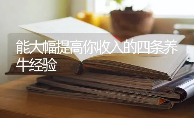 能大幅提高你收入的四条养牛经验 | 养殖技术大全