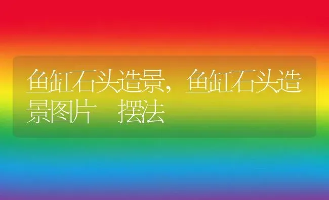 鱼缸石头造景,鱼缸石头造景图片 摆法 | 养殖资料