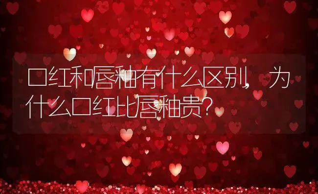 口红和唇釉有什么区别,为什么口红比唇釉贵？ | 养殖科普