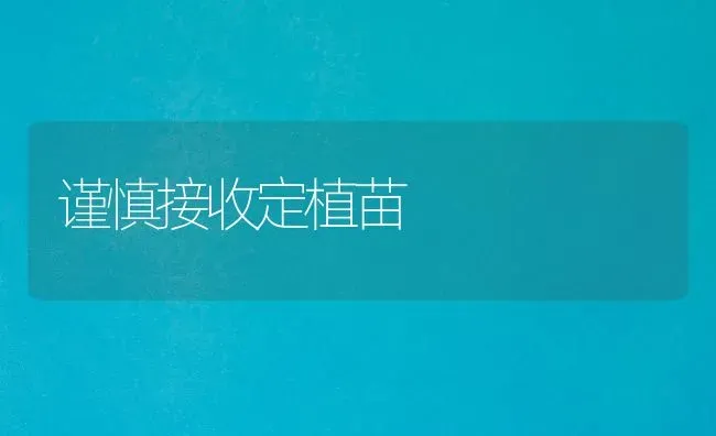 谨慎接收定植苗 | 养殖技术大全