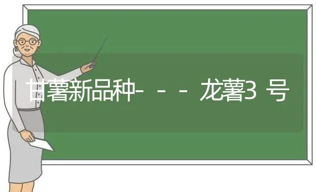 甘薯新品种---龙薯3号 | 养殖技术大全