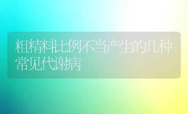 粗精料比例不当产生的几种常见代谢病 | 养殖技术大全