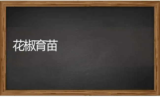花椒育苗 | 养殖技术大全