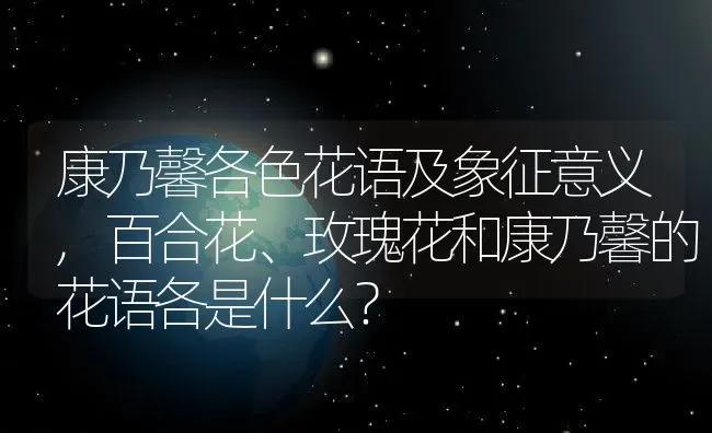 康乃馨各色花语及象征意义,百合花、玫瑰花和康乃馨的花语各是什么？ | 养殖科普