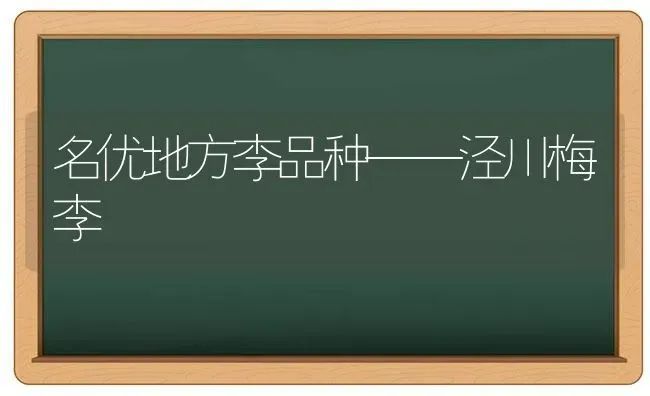 名优地方李品种——泾川梅李 | 养殖知识