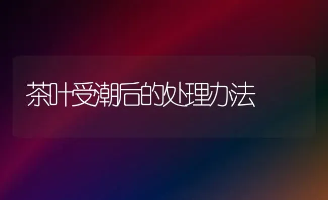 茶叶受潮后的处理办法 | 养殖知识