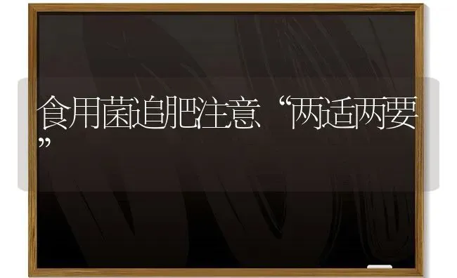 食用菌追肥注意“两适两要” | 养殖技术大全