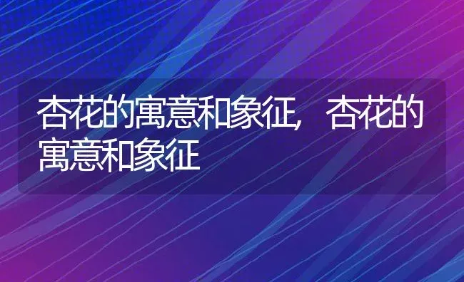 高山杜鹃花的养殖方法和注意事项,高山杜鹃红粉佳人养殖方法？ | 养殖科普