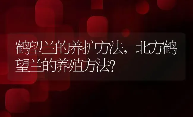 鹤望兰的养护方法,北方鹤望兰的养殖方法？ | 养殖科普