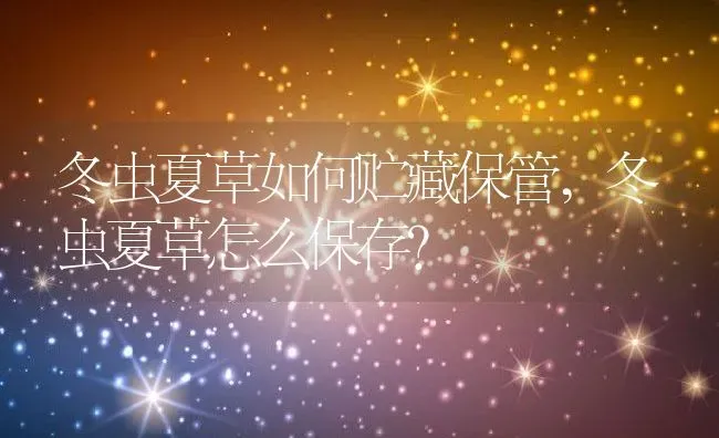 紫色风信子花语是什么,瑾色是什么意思？ | 养殖科普