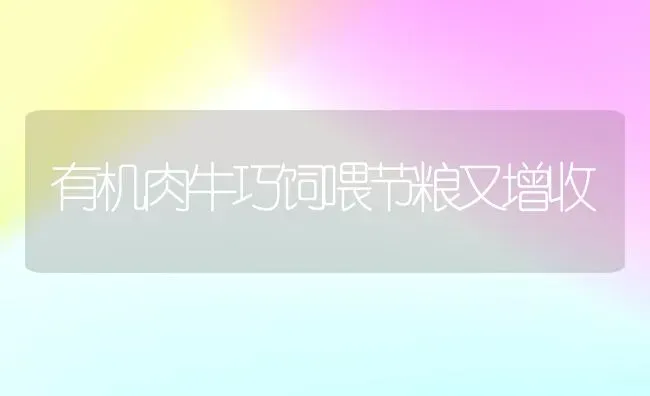 有机肉牛巧饲喂节粮又增收 | 养殖技术大全