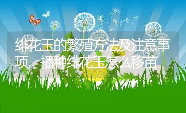 绯花玉的繁殖方法及注意事项,播种绯花玉怎么移苗 | 养殖学堂