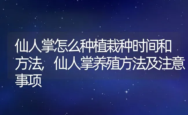 仙人掌怎么种植栽种时间和方法,仙人掌养殖方法及注意事项 | 养殖学堂