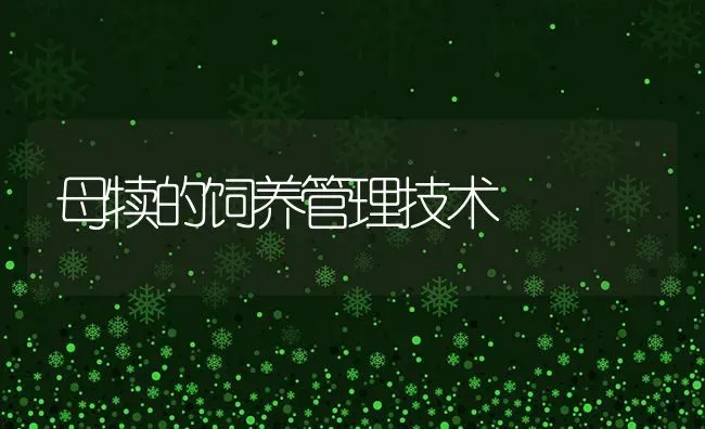 母犊的饲养管理技术 | 养殖技术大全
