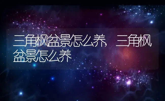 三角枫盆景怎么养,三角枫盆景怎么养 | 养殖科普
