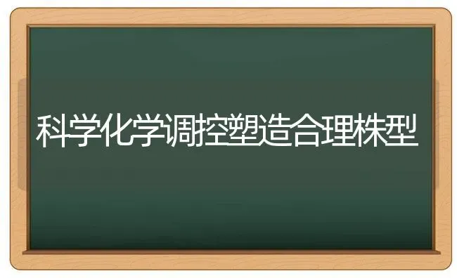 科学化学调控塑造合理株型 | 养殖知识