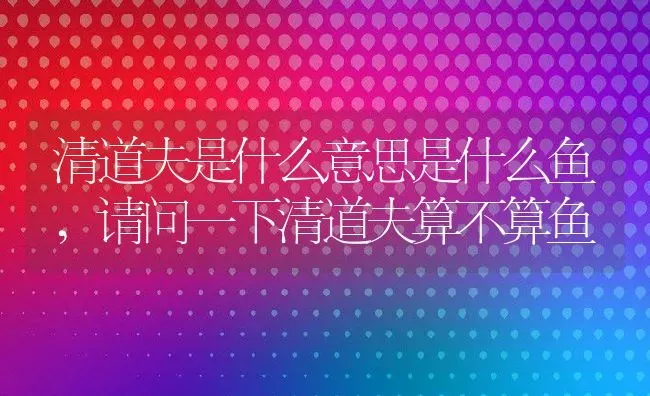 清道夫是什么意思是什么鱼,请问一下清道夫算不算鱼 | 养殖学堂