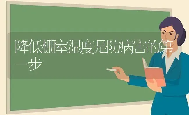 降低棚室湿度是防病害的第一步 | 养殖知识