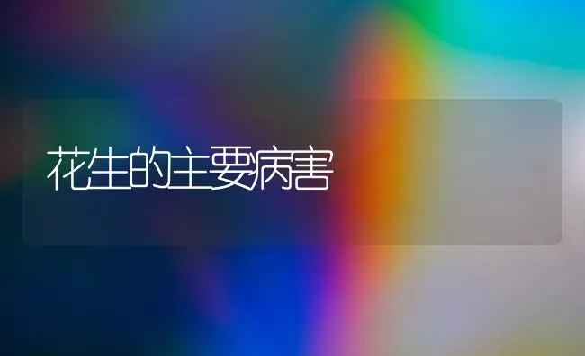 花生的主要病害 | 养殖技术大全