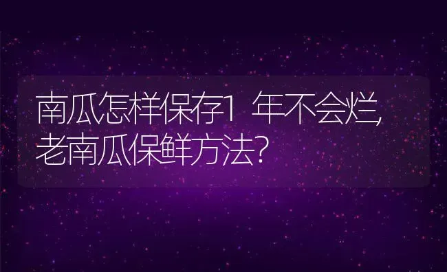 南瓜怎样保存1年不会烂,老南瓜保鲜方法？ | 养殖科普