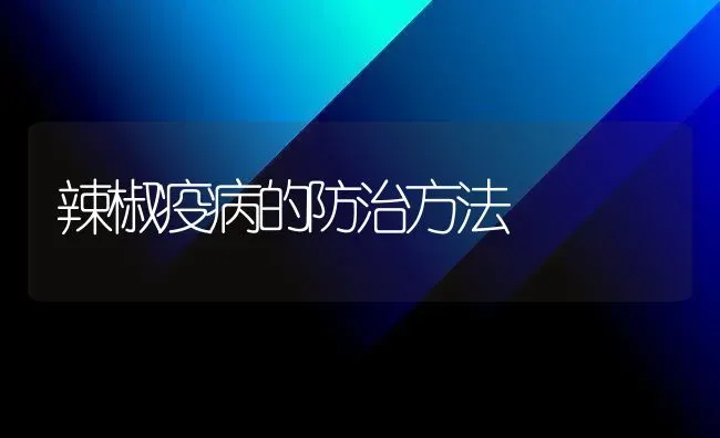 辣椒疫病的防治方法 | 养殖技术大全