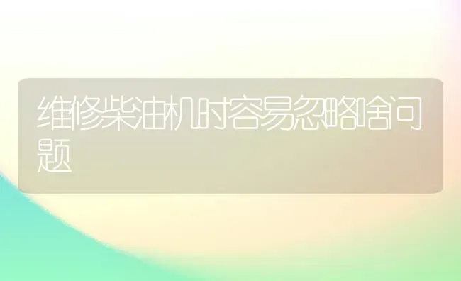 维修柴油机时容易忽略啥问题 | 养殖知识