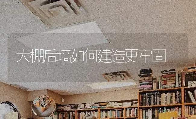 大棚后墙如何建造更牢固 | 养殖知识