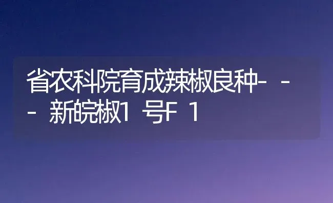 省农科院育成辣椒良种---新皖椒1号F1 | 养殖技术大全