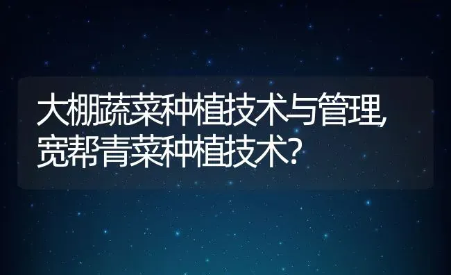 大棚蔬菜种植技术与管理,宽帮青菜种植技术？ | 养殖科普