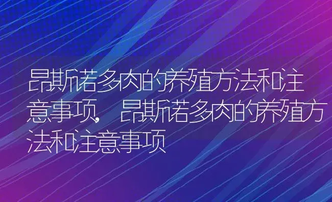 昂斯诺多肉的养殖方法和注意事项,昂斯诺多肉的养殖方法和注意事项 | 养殖科普