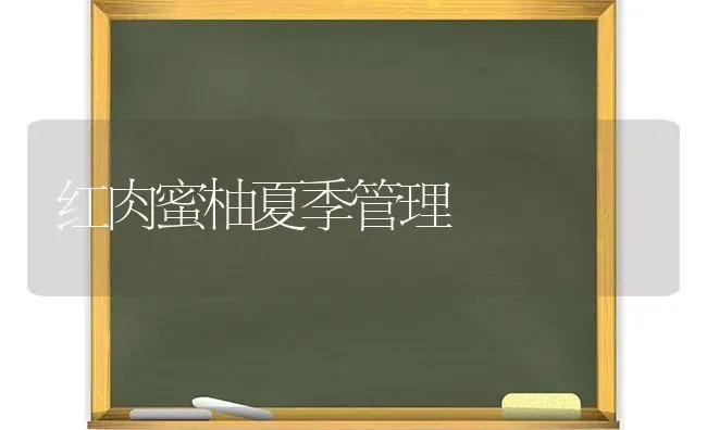 红肉蜜柚夏季管理 | 养殖知识
